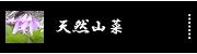 �V�R�R��